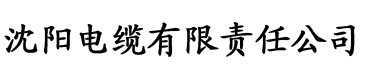 精品电缆厂logo